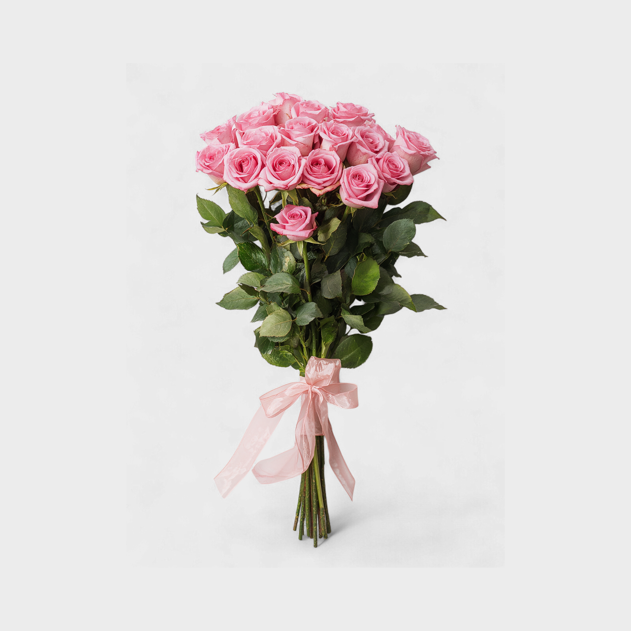 Sample | The Golden Horizon Graduation Bloom